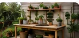 Plants